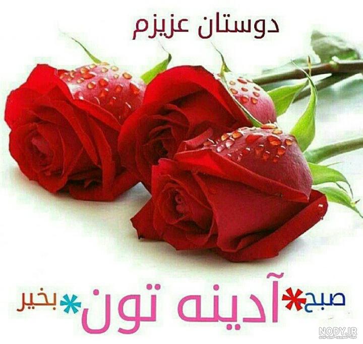 کلیپ شاد برای روز جمعه