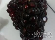 انار دانه سیاه رباب انار دانه سیاه رباب