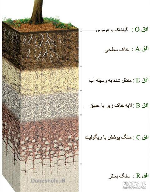 انواع سنگ های رسوبی انواع سنگ های رسوبی