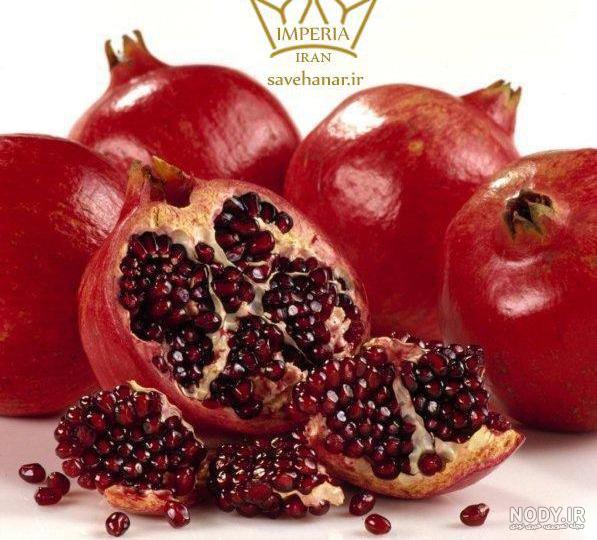 بهترین درخت انار بهترین درخت انار