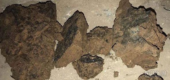 بوی جنگل بوی باران می دهی