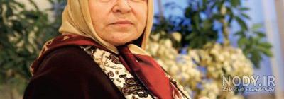 بیوگرافی امیرمحمد لاچینی