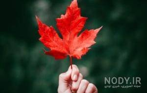 تصاویر زیبای پاییزی عاشقانه تصاویر زیبای پاییزی عاشقانه