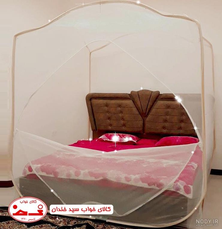 حشرات خطرناک حشرات خطرناک
