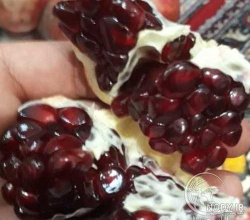 درخت انار اشکفتو درخت انار اشکفتو