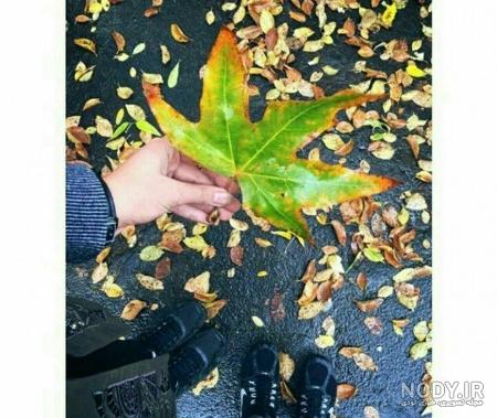 عکس برگ پاییزی