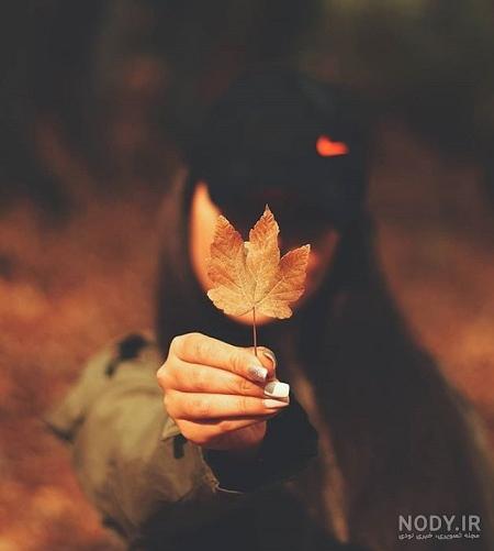 عکس برگ پاییزی فانتزی