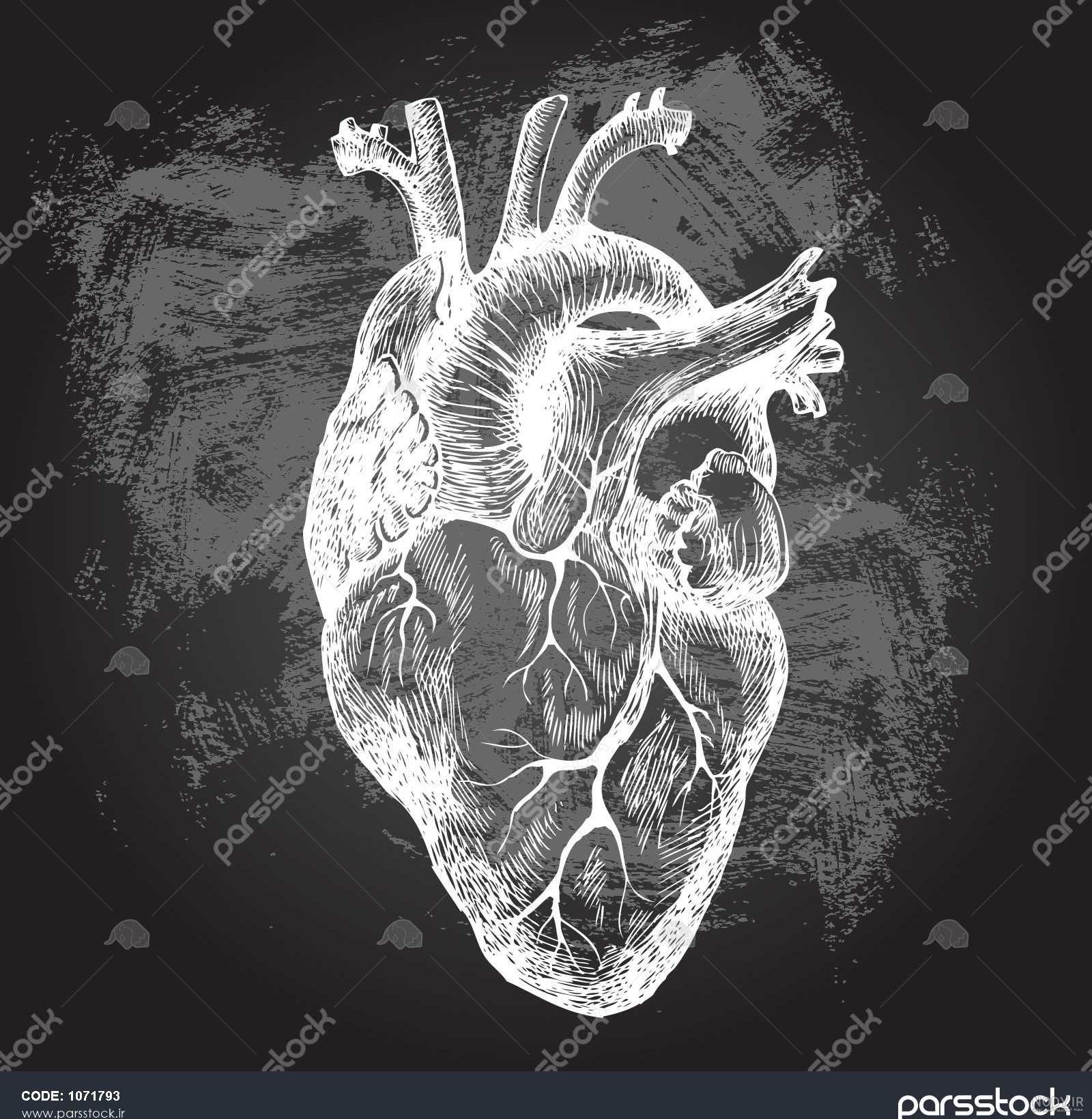 عکس سیاه و سفید قلب شکسته عکس سیاه و سفید قلب شکسته