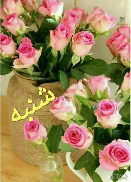 عکس صبح شنبه تون بخیر عکس صبح شنبه تون بخیر