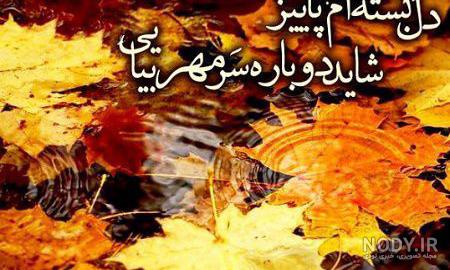 عکس پاییز بارانی عکس پاییز بارانی