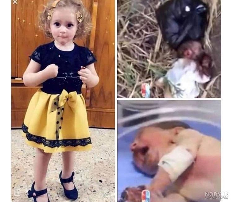 غذای موش خانگی چیست