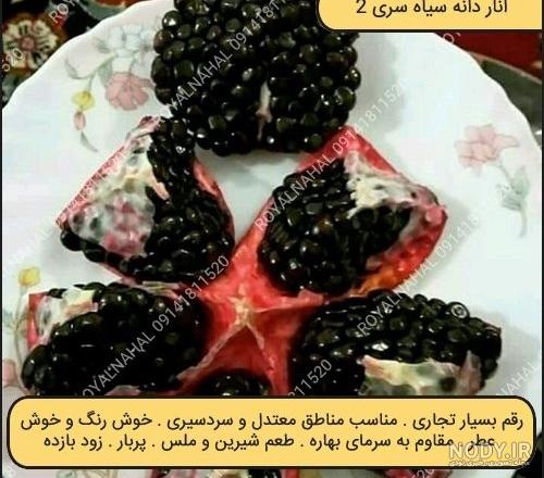 قیمت نهال انار دانه سیاه قیمت نهال انار دانه سیاه