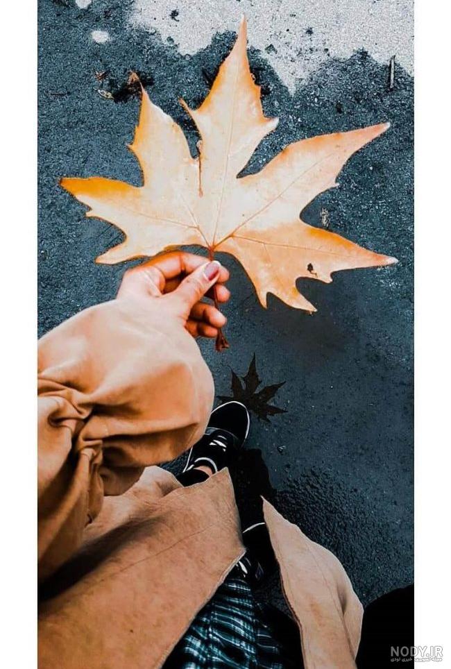 پروفایل پاییزی لاکچری