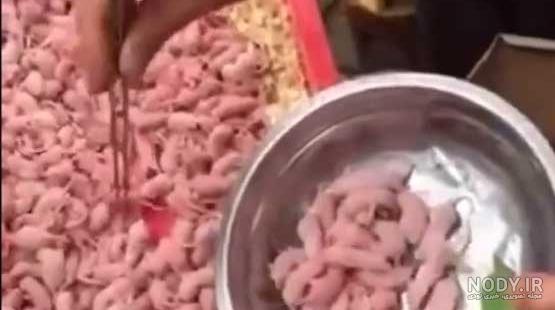 پنیر موش