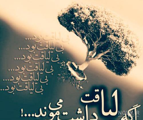 انسان بی لیاقت انسان بی لیاقت