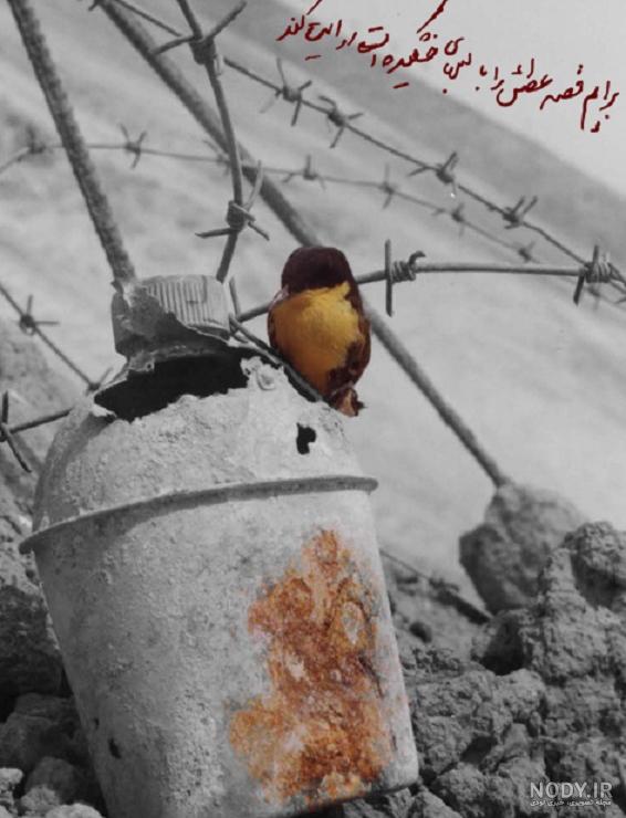 اهنگ بی کلام راهیان نور شلمچه