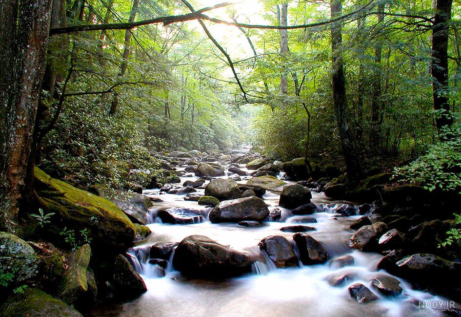 تصویر رودخانه کارتونی تصویر رودخانه کارتونی