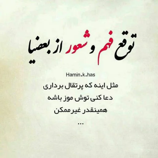 در جواب بیشعوری چه بگوییم در جواب بیشعوری چه بگوییم