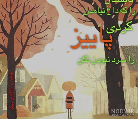 عکس بارش باران در طبیعت