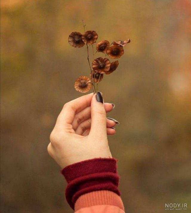 عکس برگ پاییزی برای پروفایل عکس برگ پاییزی برای پروفایل