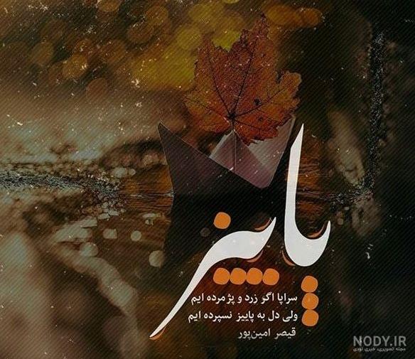 عکس برگ پاییزی برای پروفایل