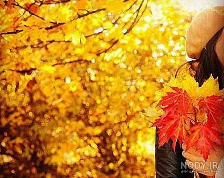 عکس برگ پاییزی روی آب عکس برگ پاییزی روی آب