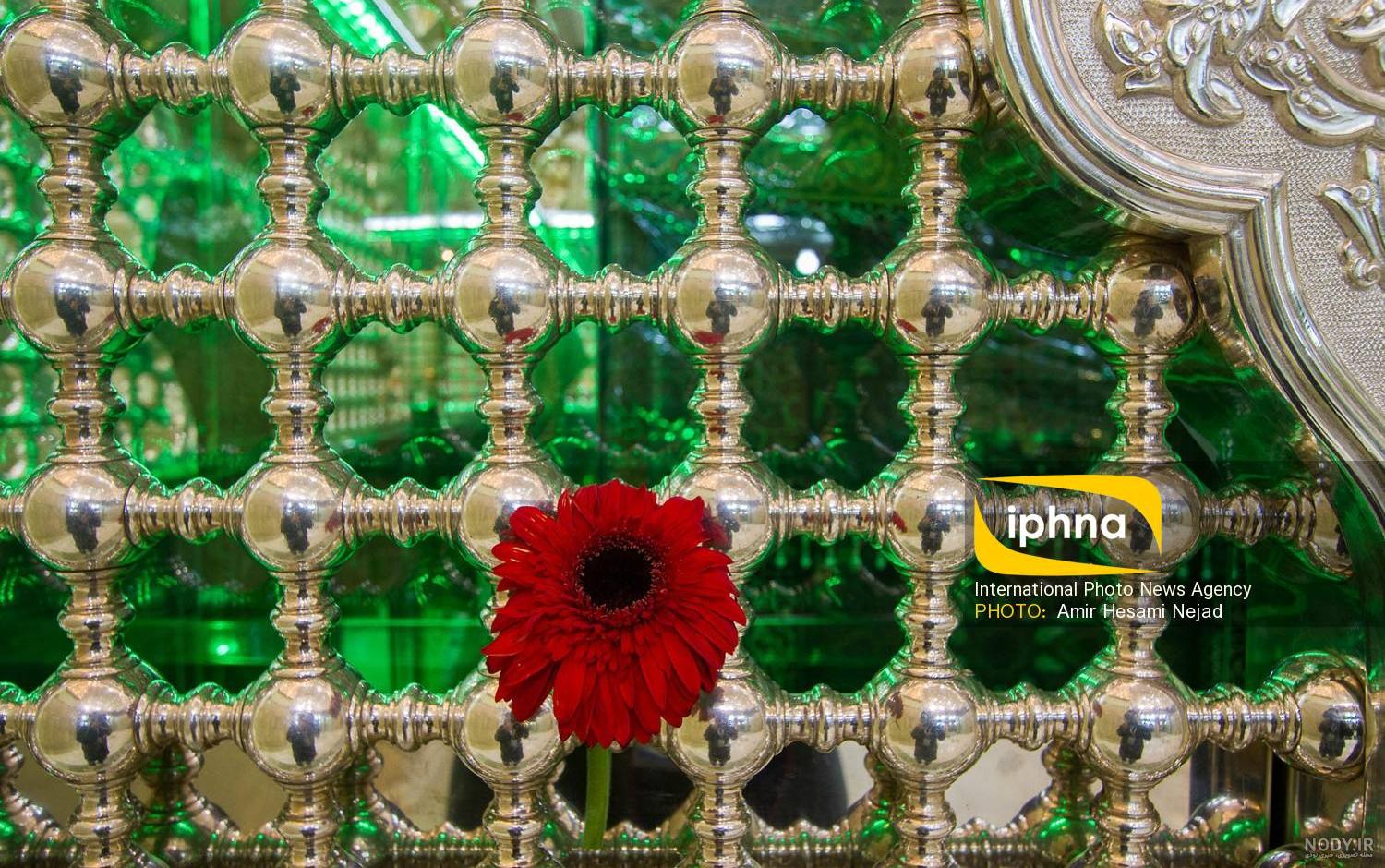 عکس حرم امام رضا برای وضعیت واتساپ
