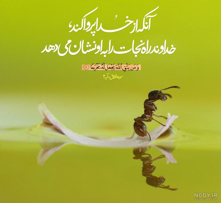 عکس سوره یاسین برای پروفایل عکس سوره یاسین برای پروفایل