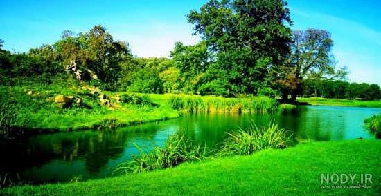 عکس طبیعت زیبا وسرسبز