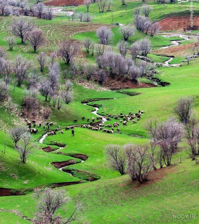 عکس طبیعت واقعی