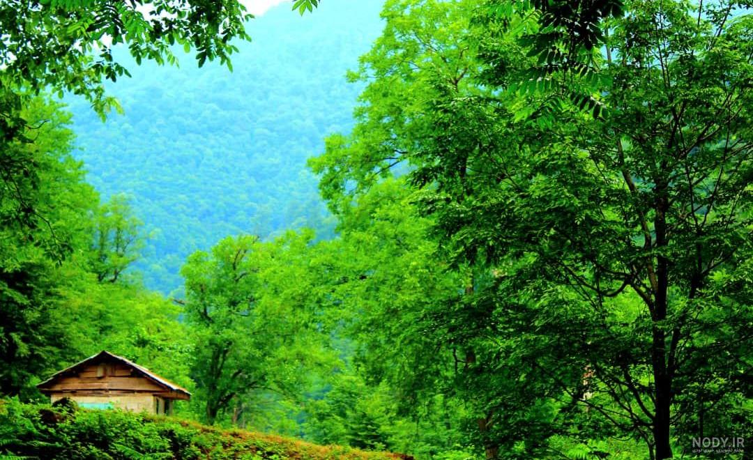عکس طبیعت واقعی بهار