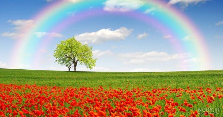 عکس طبیعت واقعی شمال