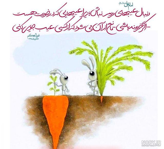عکس عیب جویی