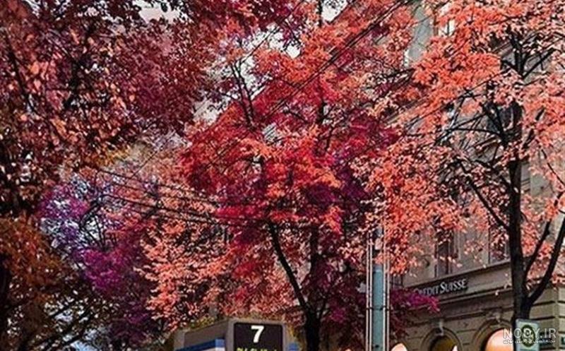 عکس پاییز بارانی