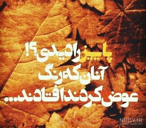 عکس پاییز بارانی عکس پاییز بارانی