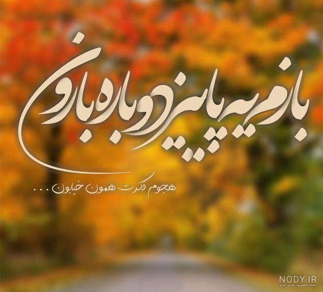 عکس پاییز برای پروفایل واتساپ