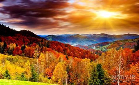 عکس پاییز دلگیر عکس پاییز دلگیر
