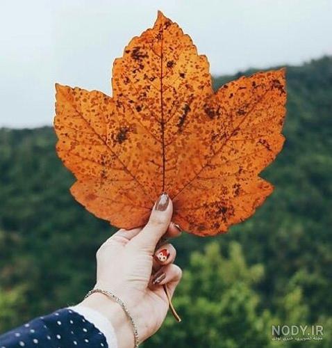 عکس پاییز دونفره عکس پاییز دونفره