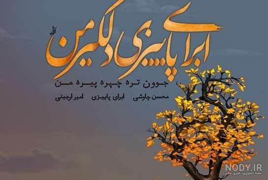 عکس پروفایل بارانی لاکچری