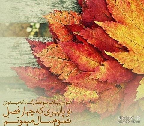 عکس پروفایل بارانی لاکچری عکس پروفایل بارانی لاکچری