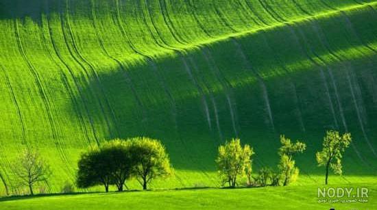 عکس گل و منظره زیبا برای پروفایل
