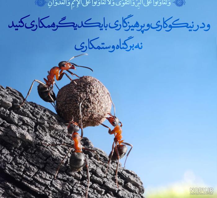 متن قرآنی کوتاه متن قرآنی کوتاه