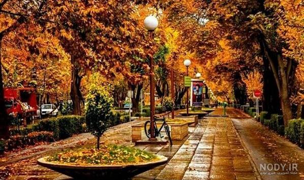 پروفایل پاییزی لاکچری