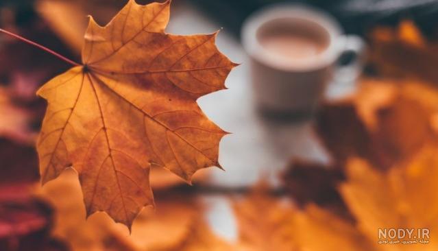  بک گراند پاییزی فانتزی