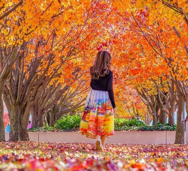  بک گراند پاییزی فانتزی