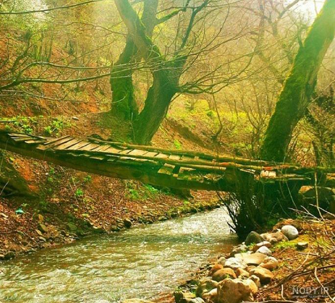 عکس پاییز تالش - عکس نودی