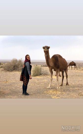 صفحه فائزه علوی صفحه فائزه علوی