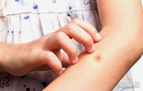 علائم سالک علائم سالک