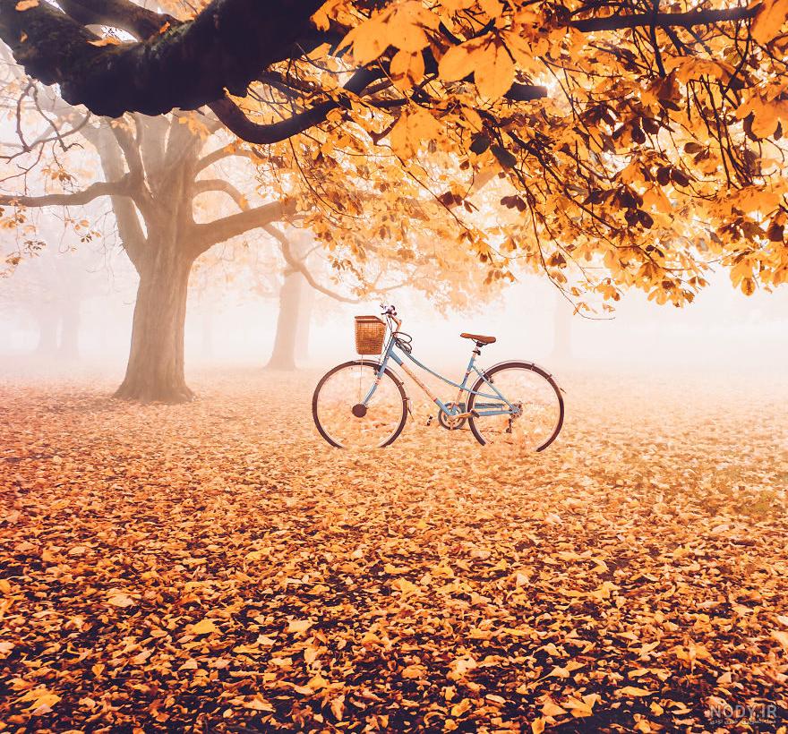 عکس از پاییز هزار رنگ