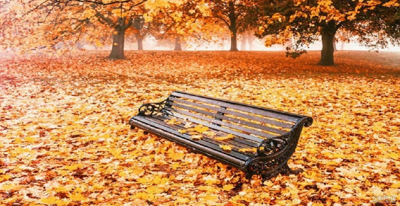 عکس برگ ساده عکس برگ ساده